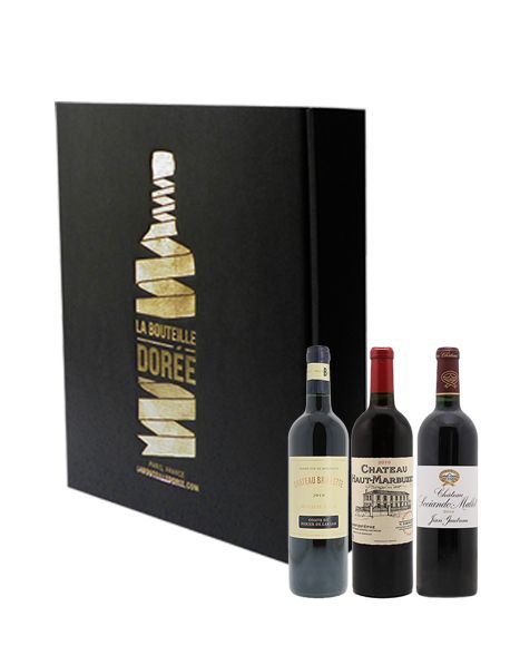 Coffret vin rouge Bordeaux Millésime 2010 3 bouteilles