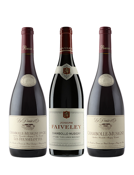 Coffret vin Bourgogne Chambolle-Musigny 3 bouteilles