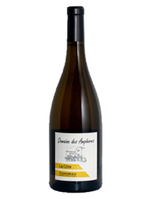 Domaine des Amphores Condrieu La Côte