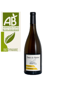 Domaine des Amphores Condrieu La Côte - Agriculture Biologique et Biodynamie