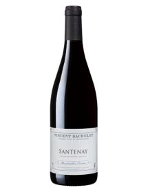 Domaine Vincent Bachelet Santenay Rouge